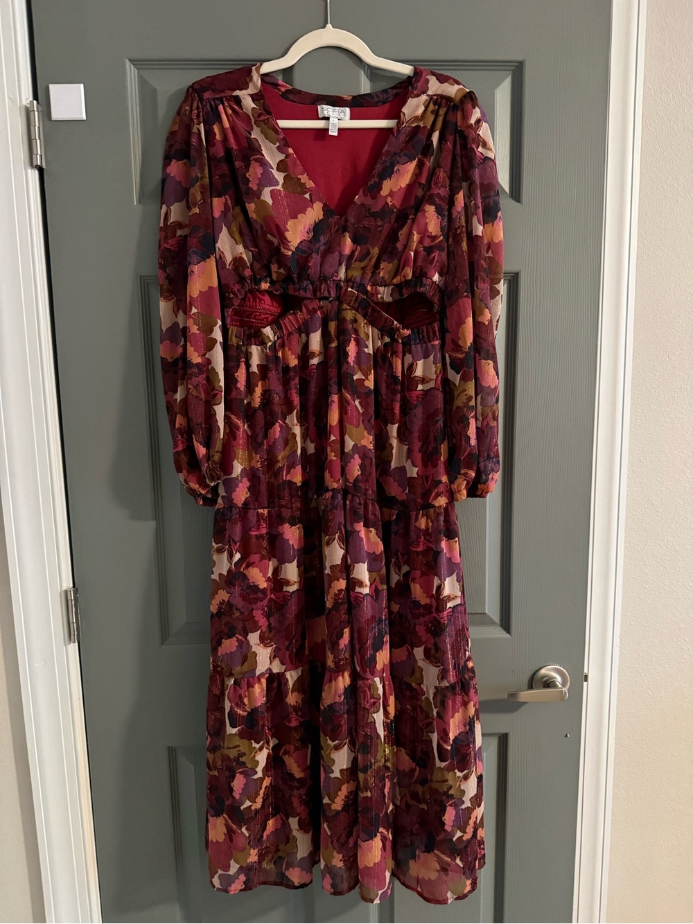 sofia by sofia vergara Burgundy Multi Floral Maxi Dress